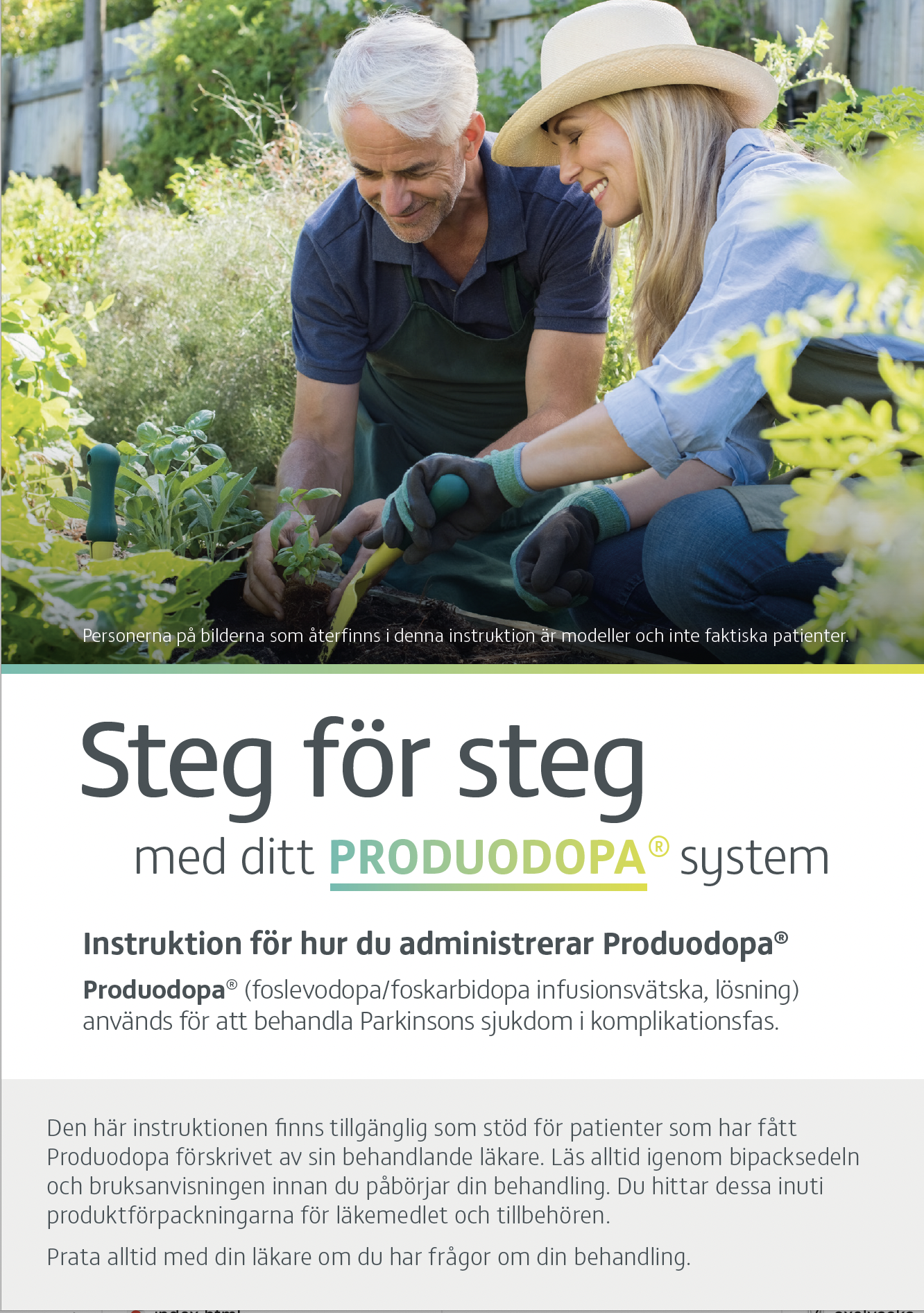 Step_by_step